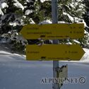 IMG_4101_lo_dxo