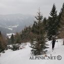 IMG_0070