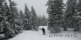Lahnberg 850m / Gutensteiner Alpen