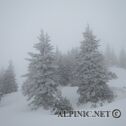 IMG_0077