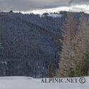 IMG_0374_DxO