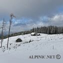IMG_0381_DxO