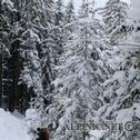IMG_9366_DxO