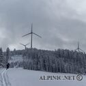 IMG_9386_DxO