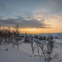 DSC05267_DxO