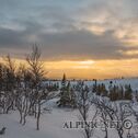 DSC05268_DxO