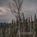 IMG_7160