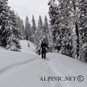 DSC01841