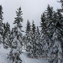 IMG_6232_dxo_lo