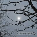 IMG_6261_lo_dxo
