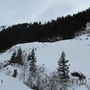 IMG_0748