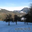IMG_6465