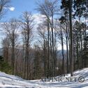 IMG_6495