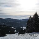 IMG_6243