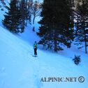 DSCN3772
