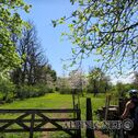IMG_0329_DxO