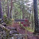 IMG_0551_DxO
