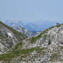 IMG_0750