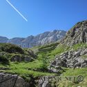 IMG_0776