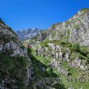IMG_0779