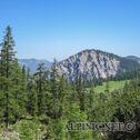 IMG_0786