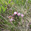 IMG_2562_lo_dxo
