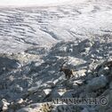 IMG_0251