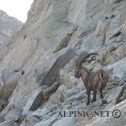 IMG_0254