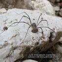 IMG_7185
