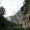 IMG_7219