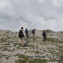 IMG_7295