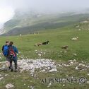 IMG_7297