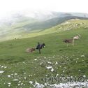 IMG_7298