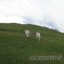 IMG_7302