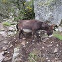 IMG_0776