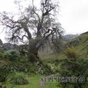 IMG_0783