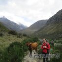 IMG_0785
