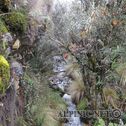 IMG_0803