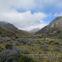 IMG_0808