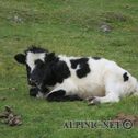 IMG_0865