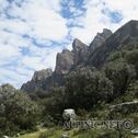 IMG_1248