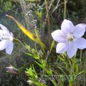 IMG_1259