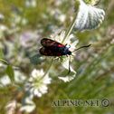 IMG_7038_DxO