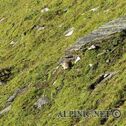 IMG_8936_DxO