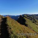 IMG_8941_DxO