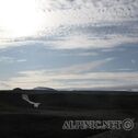 IMG_4086
