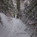 IMG_0529_DxO