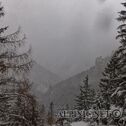 IMG_0531_DxO