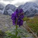 IMG_7771_aDxO
