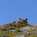 IMG_7937_aDxO